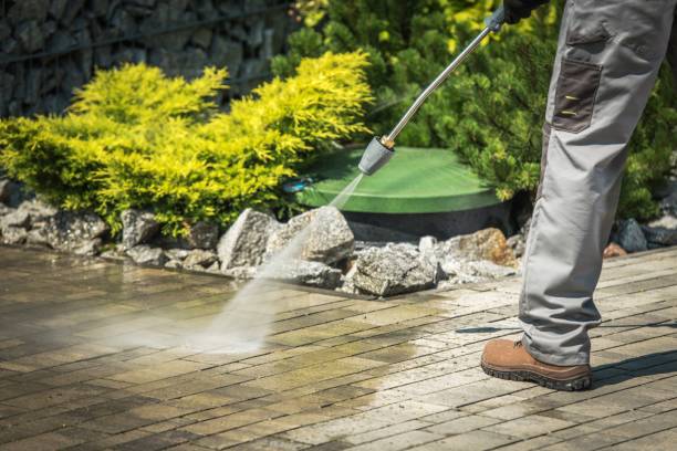 Best Solar Panel Cleaning  in Lake Lifornia, CA